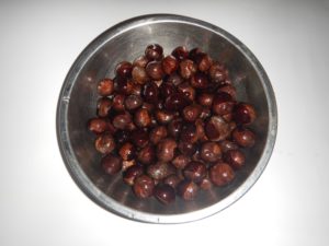 tochi-no-mi