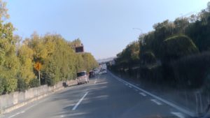 常緑広葉樹の並木