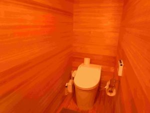 トイレも周囲すべて杉材です