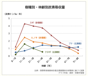 樹種別・林齢炭素吸収量