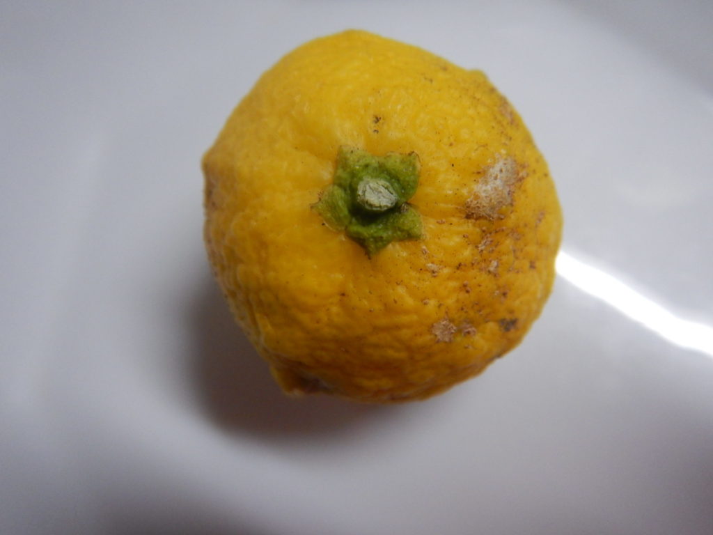 ヘタ取り前