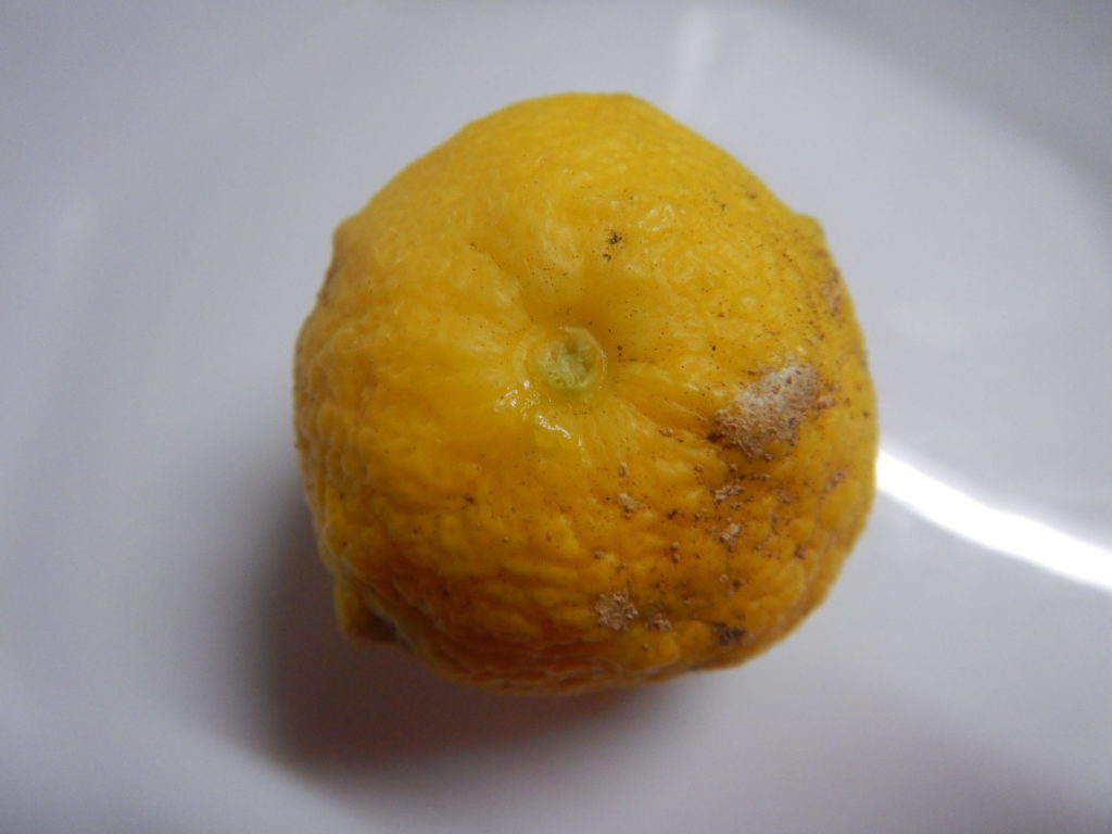 ヘタ取り前