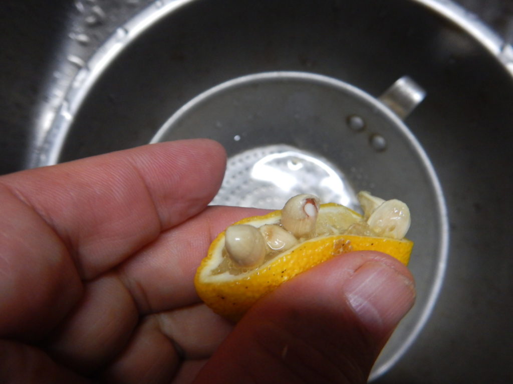種、汁と皮の分離