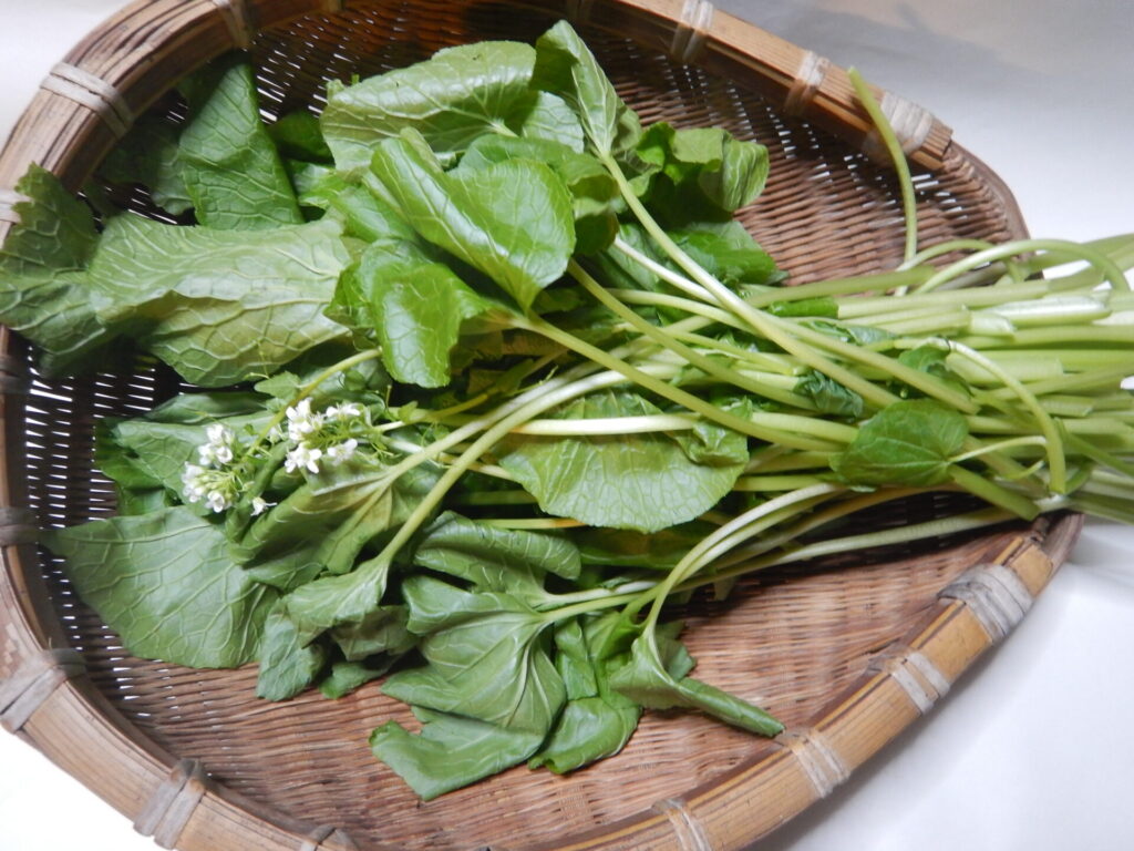 収穫した葉・茎・花